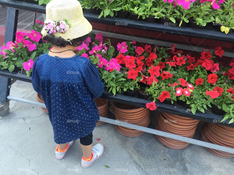 Little girl admiring colorful flowers in the garden