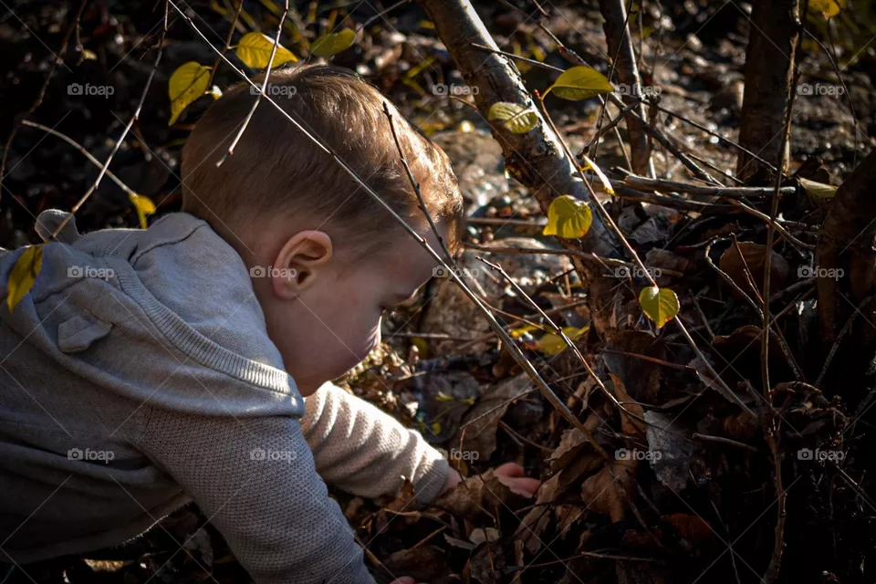 Autumm