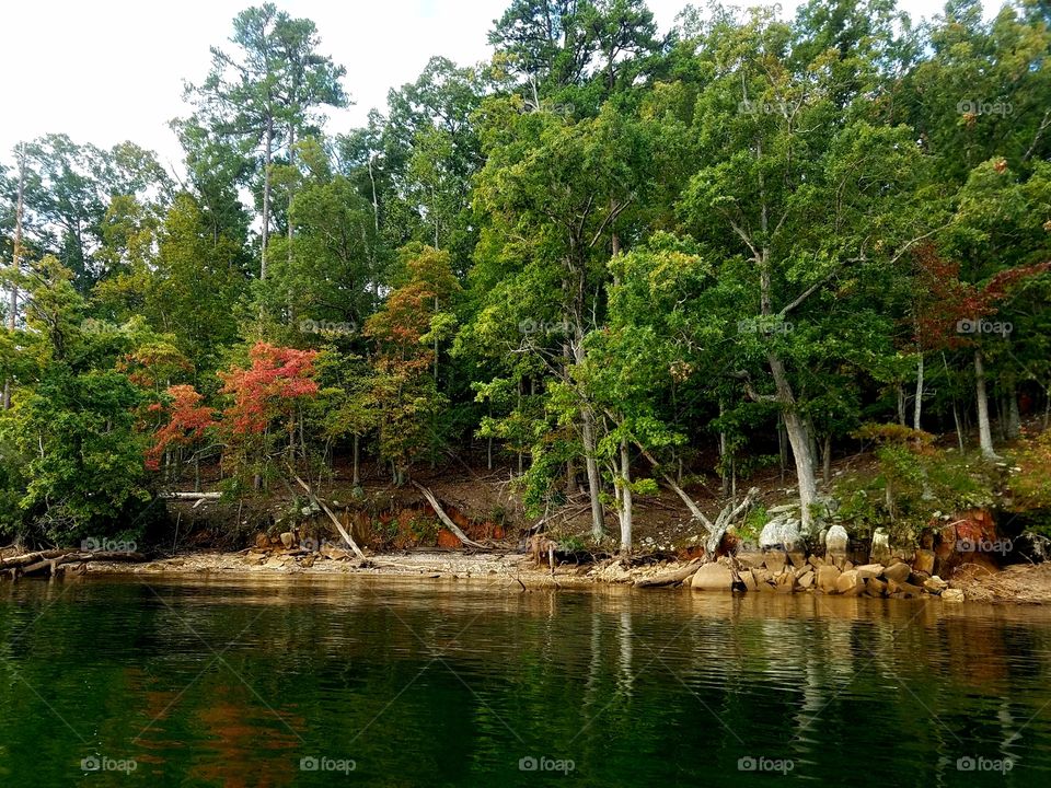 landscape view from lake.