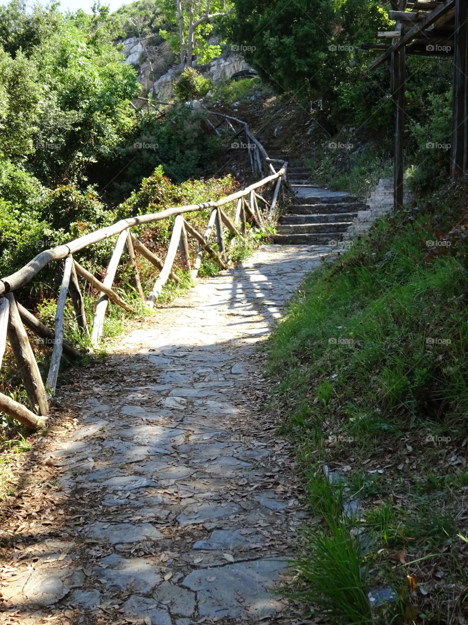 Mountain path. Mountain path