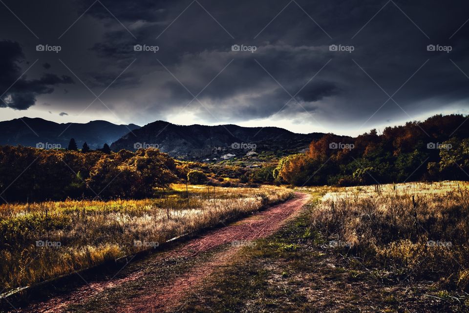 Autumn Path