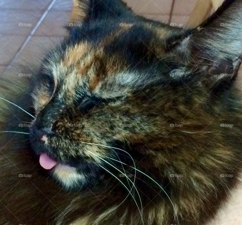 My lower jaw still hurts....