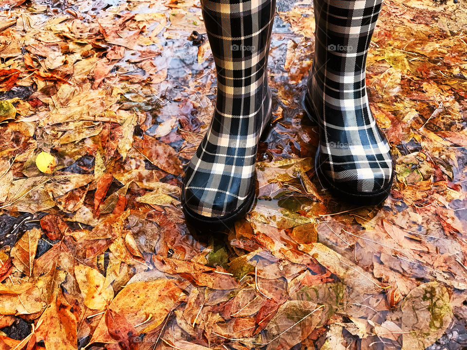 Rubber boots on the puddle with autumn leaves 