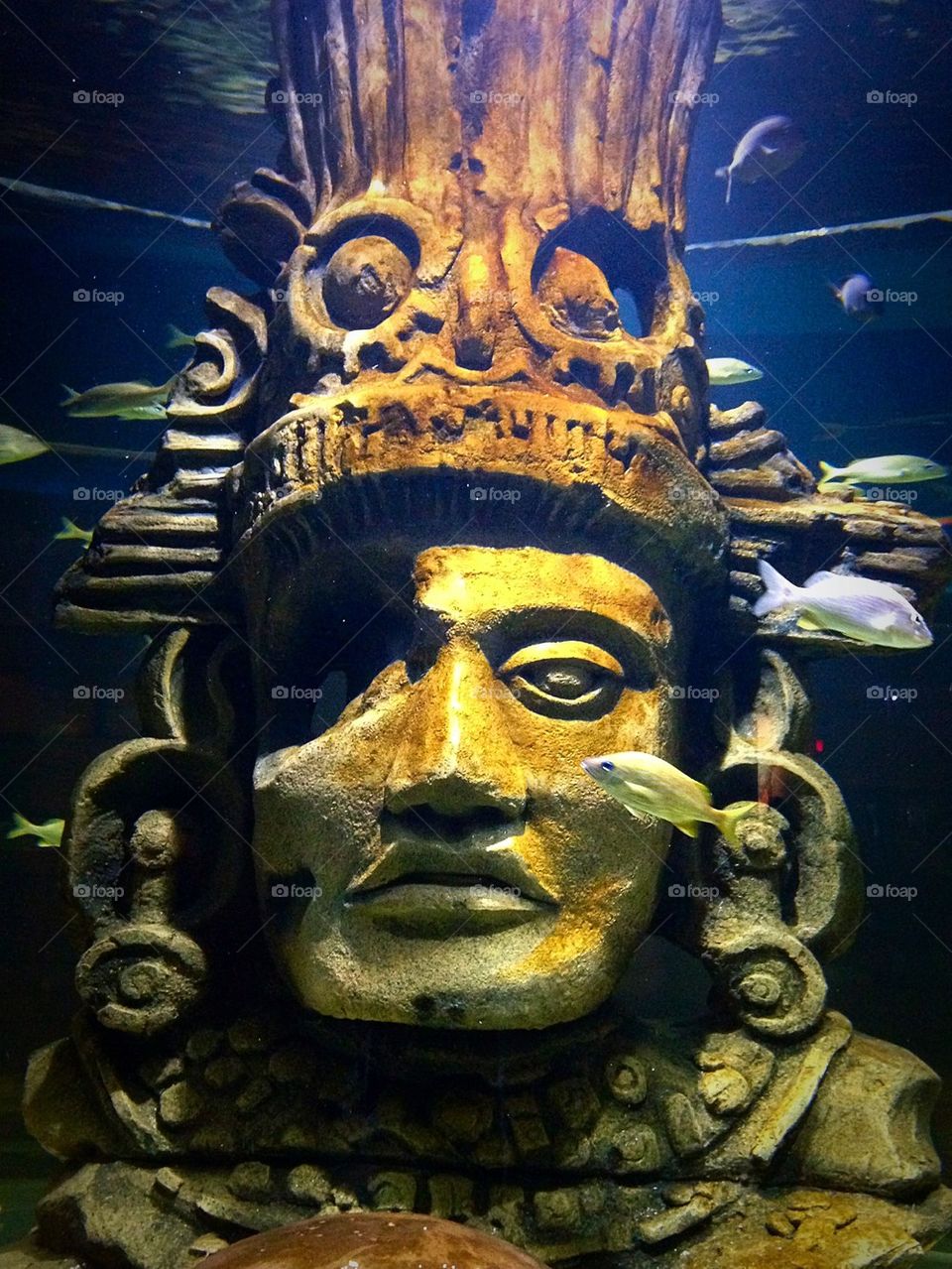 Great Mayan Reef 