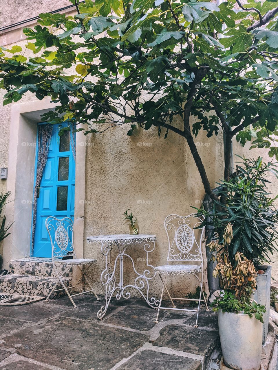 Chilling in one of the cute yard of old streets of Piran, Slovenija