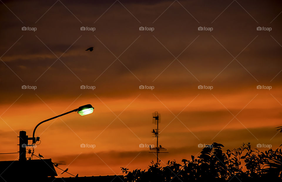 Street lighting and background sunset light reflected with the cloud.