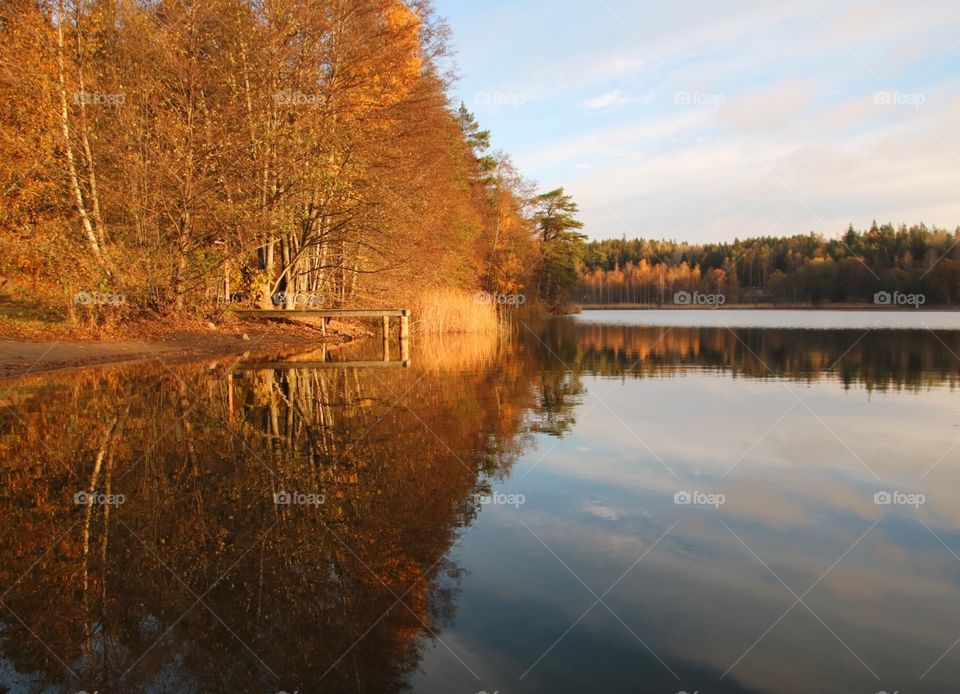 Reflections in the lake