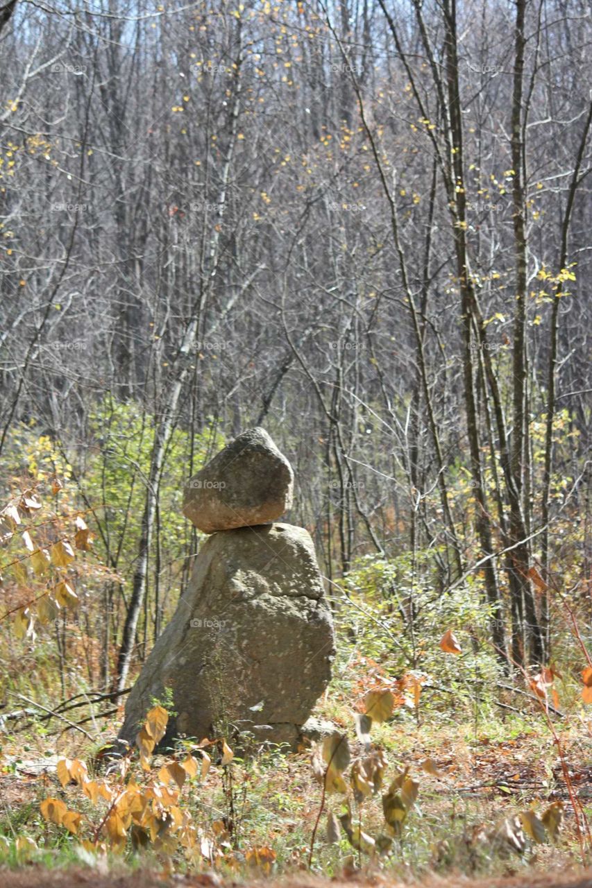 stacked rocks in Forest
