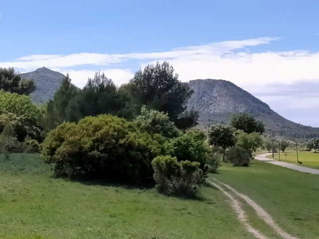 A green Walk