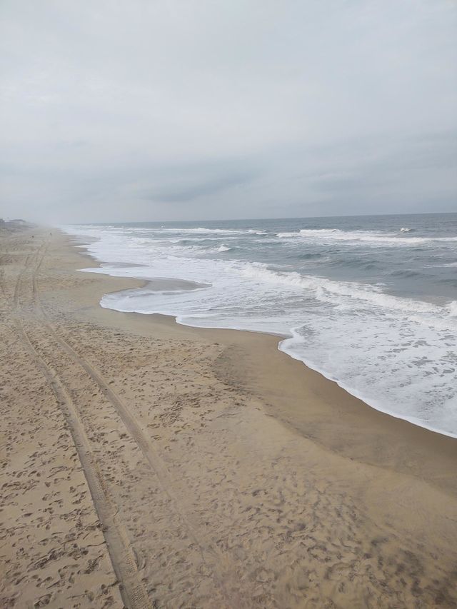 Nags Head seashore