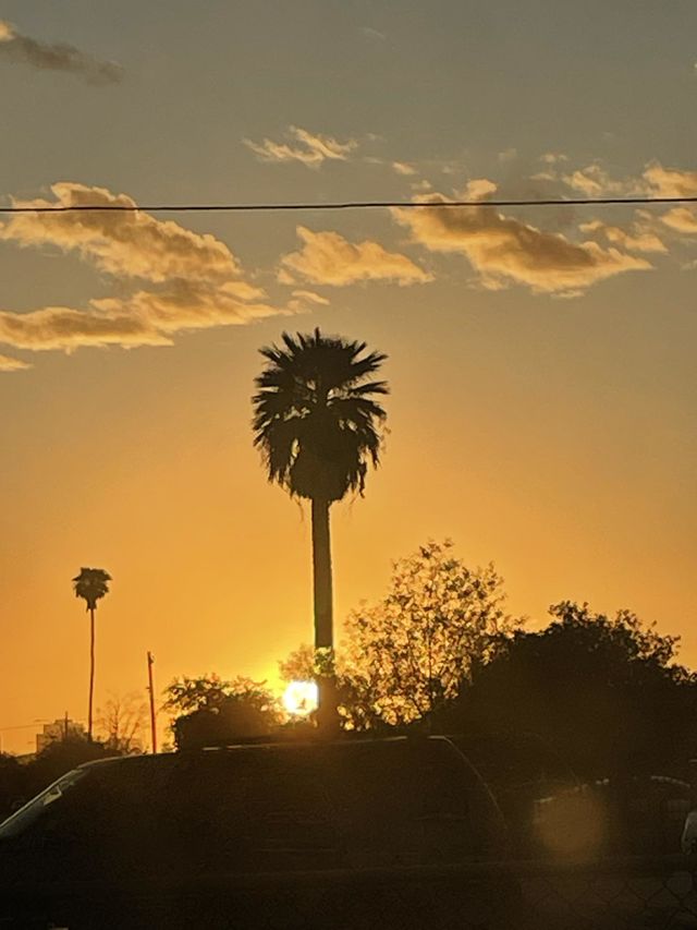 Sun Rise