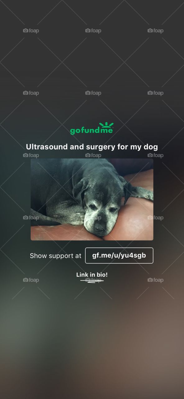 My sweet baby has an ultrasound appointment for her bladder next Tuesday to see what’s going on.