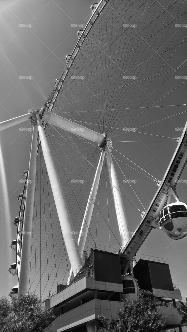 Las Vegas high roller