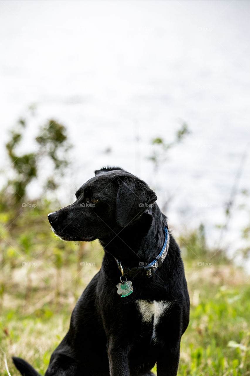 Was that a squirrel?