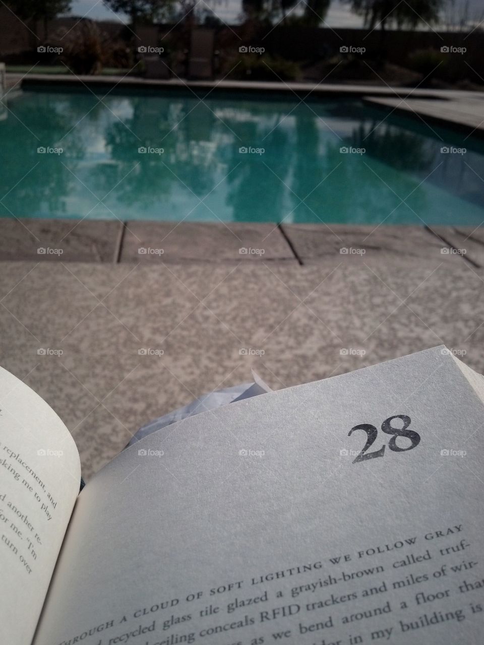 Reading poolside