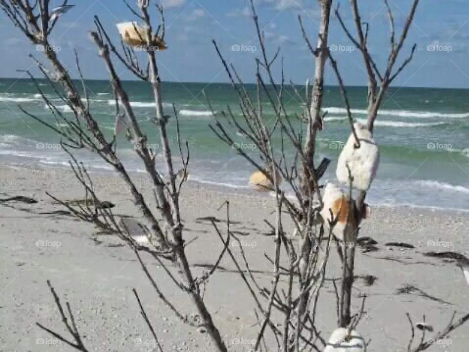 Florida beach 