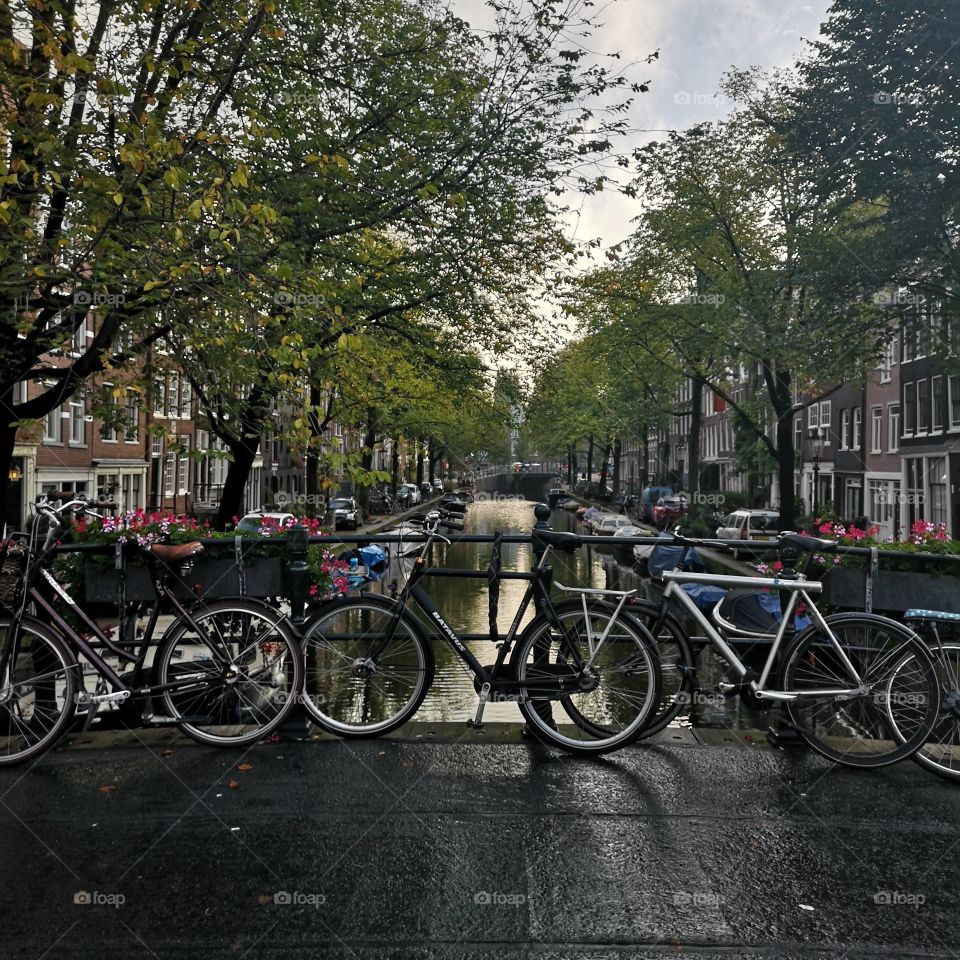 If you say bike,where else we can see if no in Amsterdam,in the end of the day the classic and flower bikes as you didn’t see before 