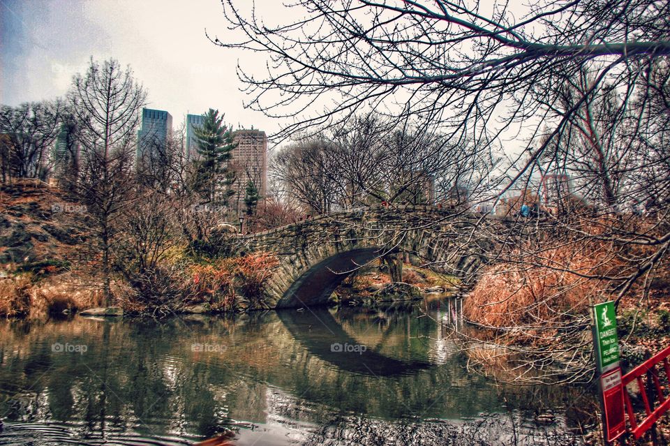 A serene view at the central park. nyc