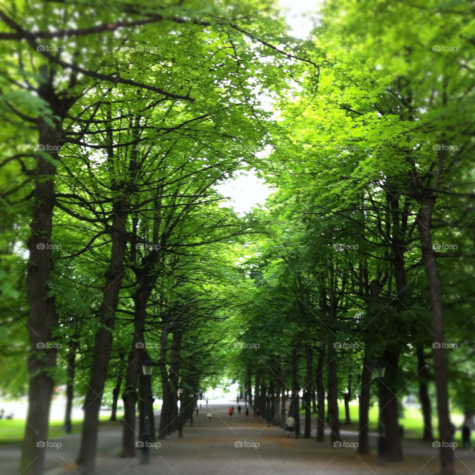 green nature humlegården stockholm by delpierista