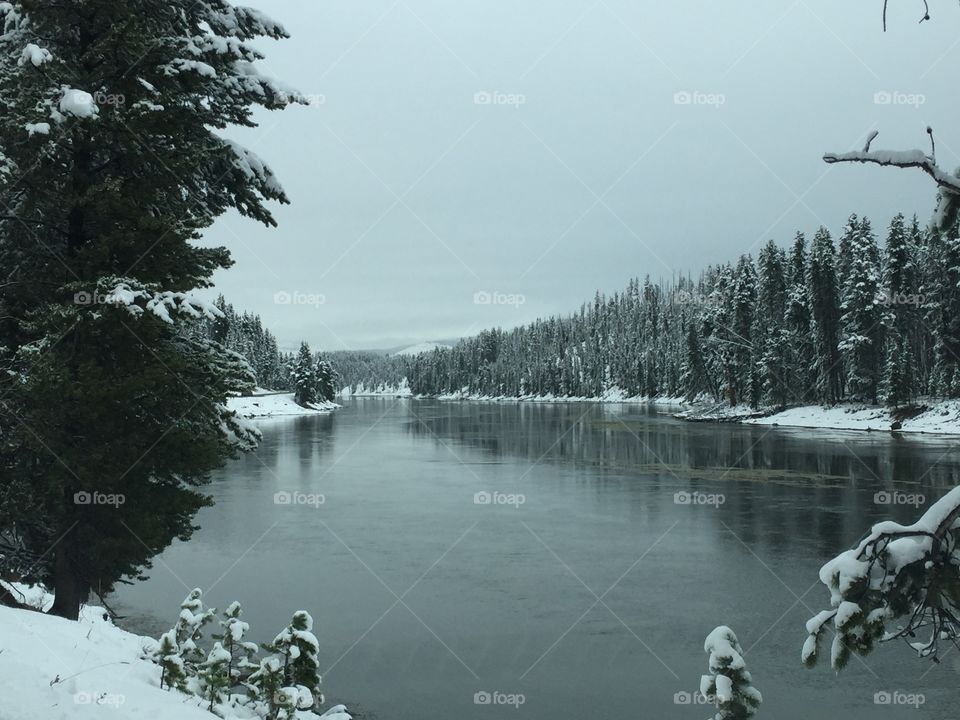 Snow, Lake, Winter, Tree, No Person