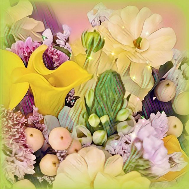 Spring Flowers 