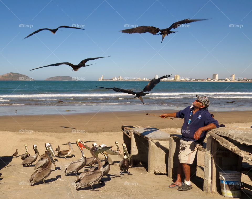 Feeding birds in Mazatlan, Mexico