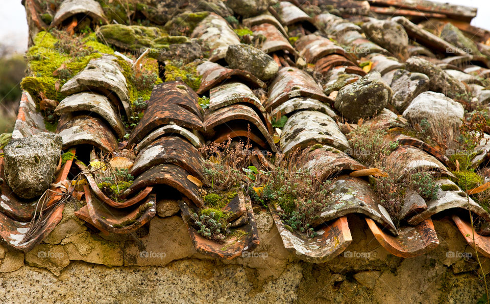 Old tiles on a roof. 