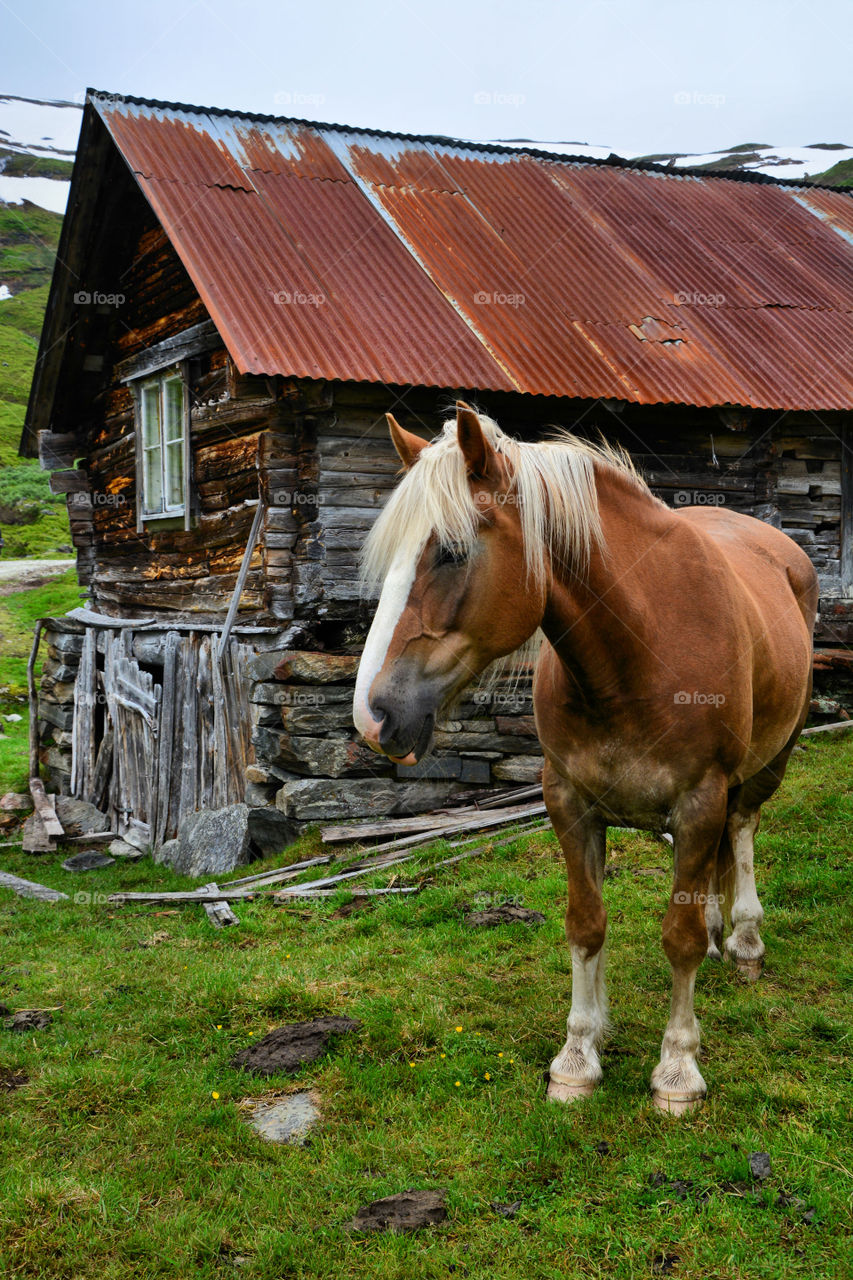 Rural Norway