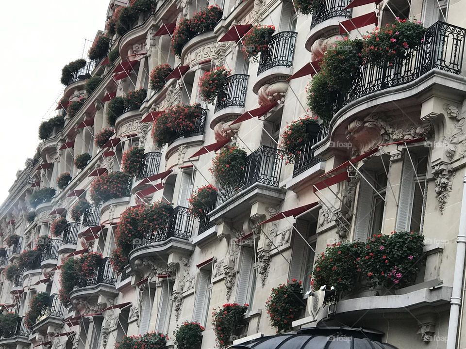 PARIS 