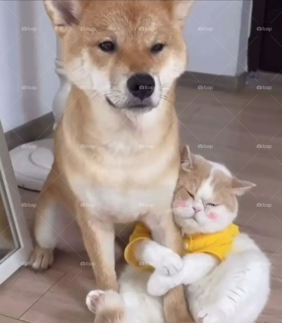 Don't go