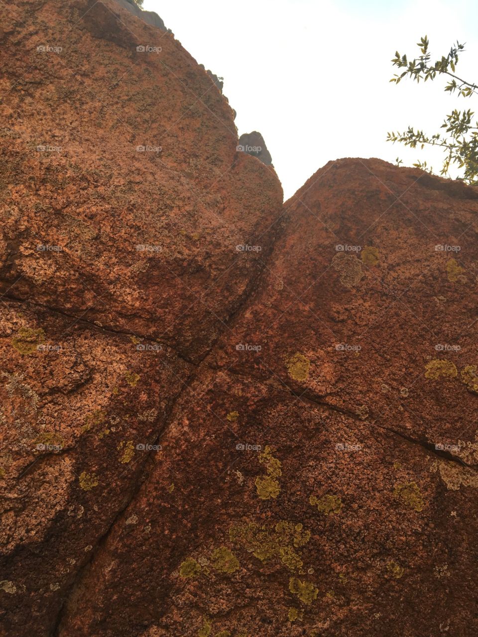 Rock In the granite Dells
