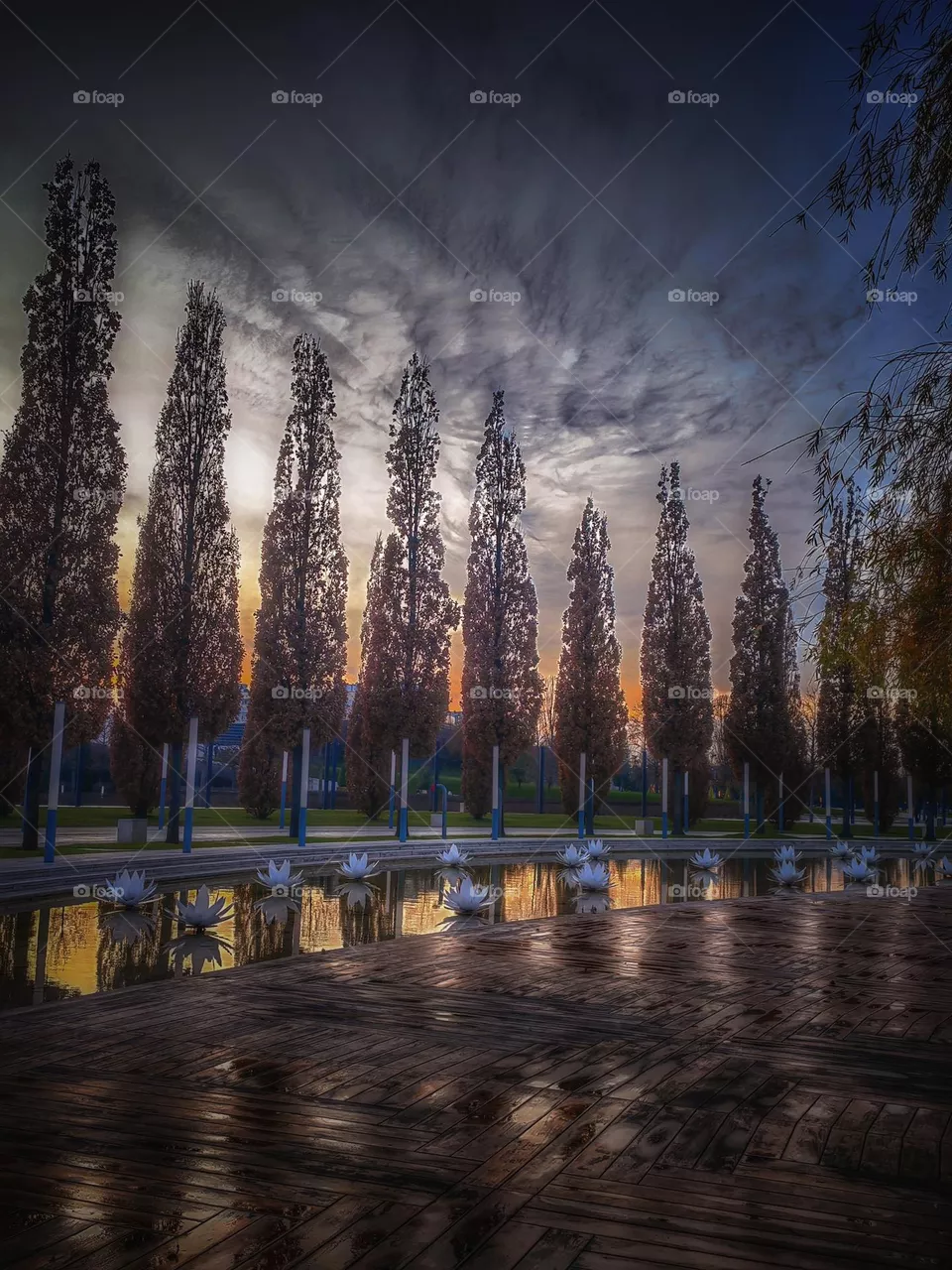 Autumn