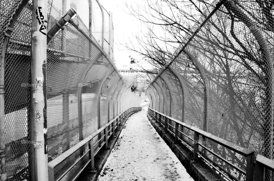 Snowy walkway 