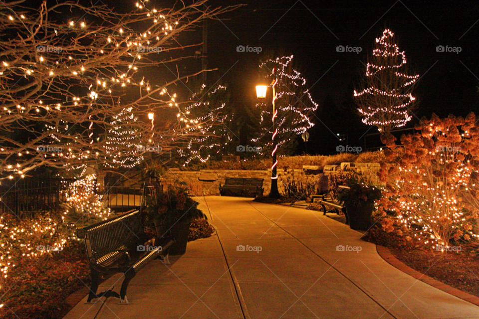 rockford michigan park christmas night by djulien