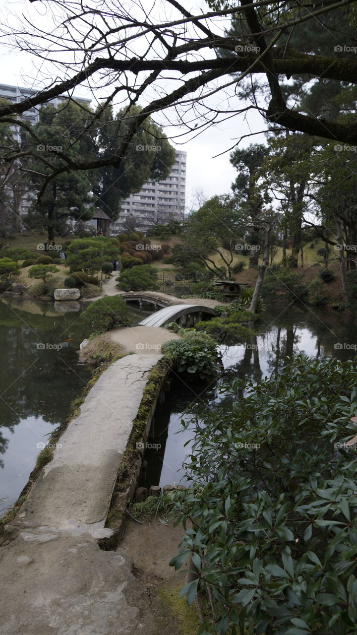Very traditional stone bridges cross the koi pond in Hiroshima's Shukkeien Japanese Garden.