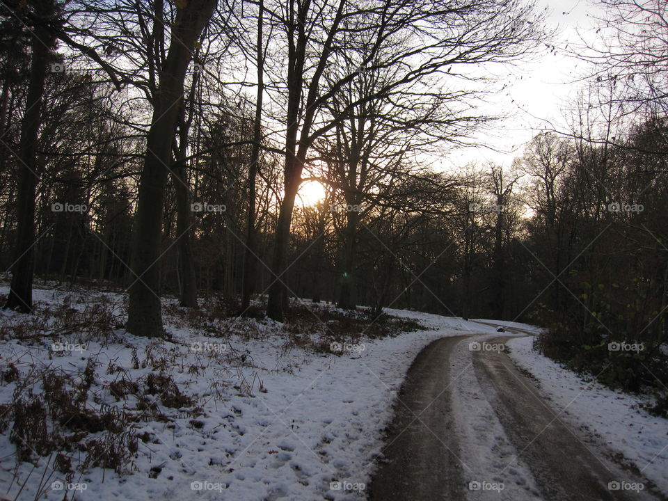 Winter, Snow, Landscape, Weather, Road