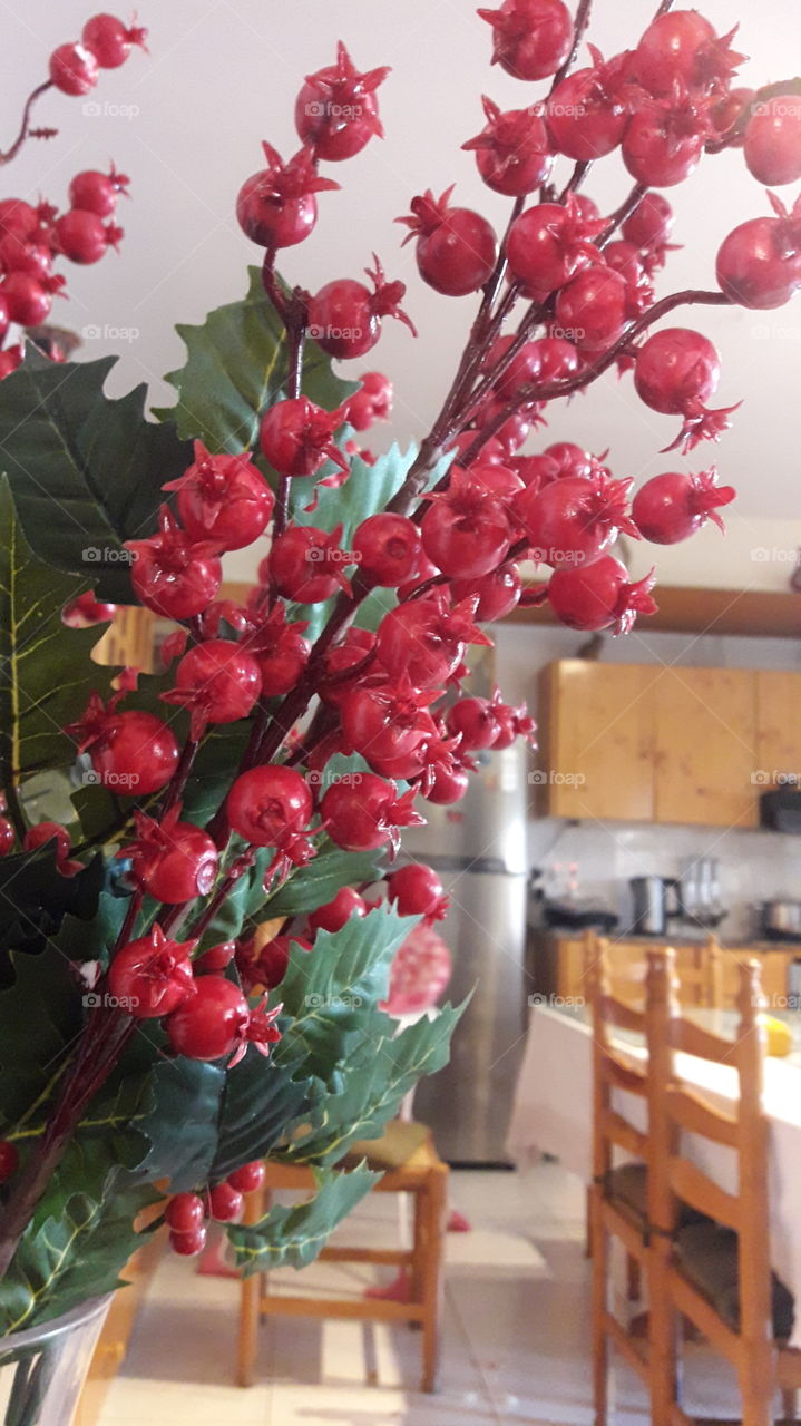 beautiful red christmas decoration house plant