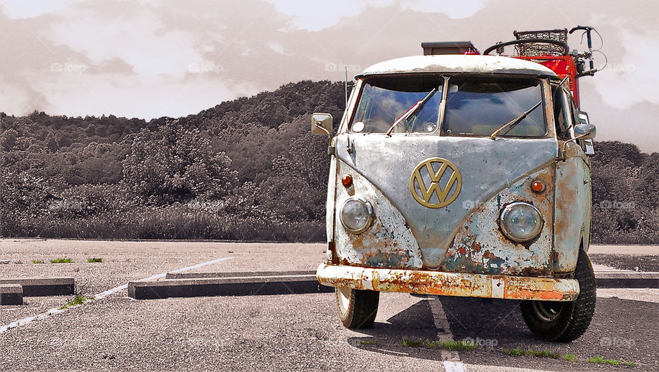 Title: Traveling bug (selective color)
Website: 
BEFadDesigns.com
Products: 
society6.com/befaddesigns
Portfolio: befaddesignsportfolio.wordpress.com
Facebook: 
facebook.com/BEFadDesigns/
Pinterest: 
pinterest.com/l3ly55/befad-designs/