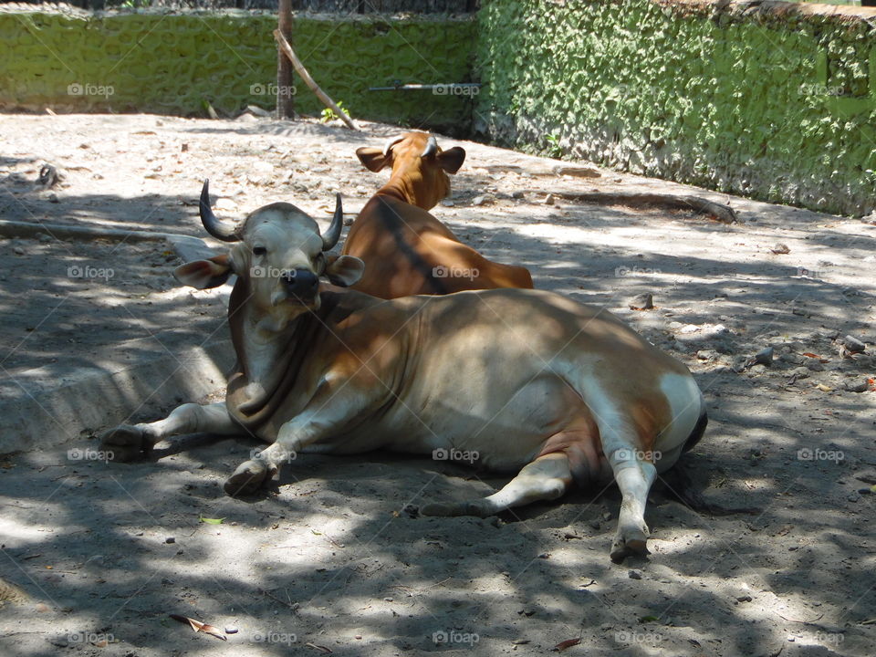 break waiting to eat