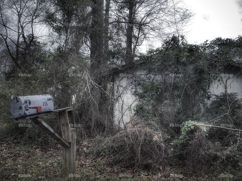 She’s Moody and Restless 1