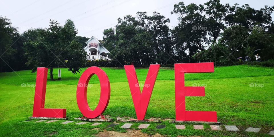 the beauty of love in the park