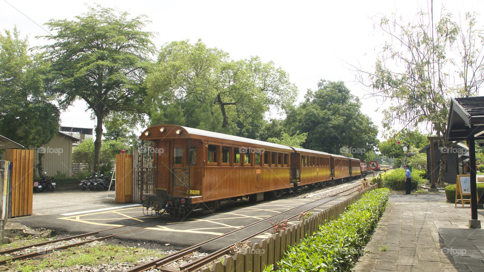 Taiwan Cypress Train