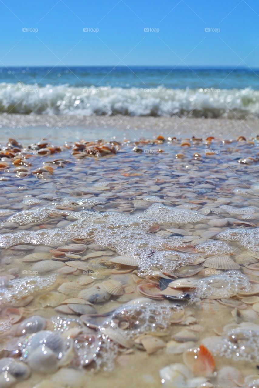 Relaxing shells. 