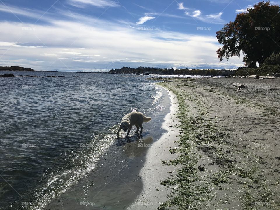 By the water