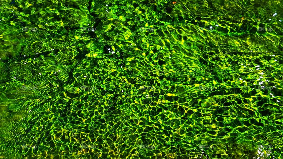 Green moss under the flowing water makes for a good effect