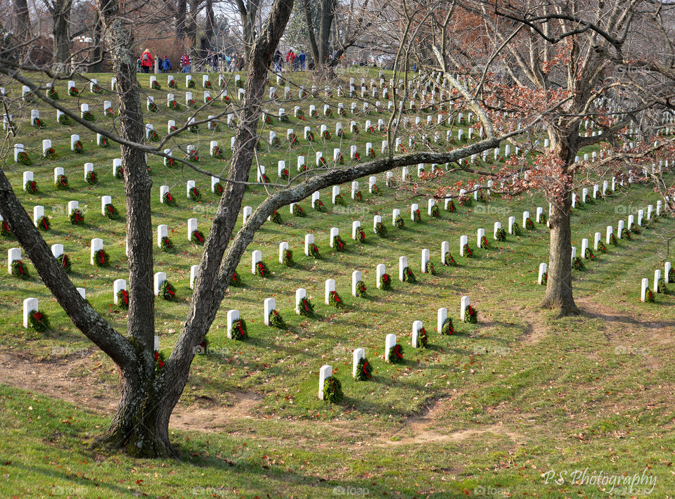 Wreaths Across America. Arlington National Cemetery laying of the wreaths