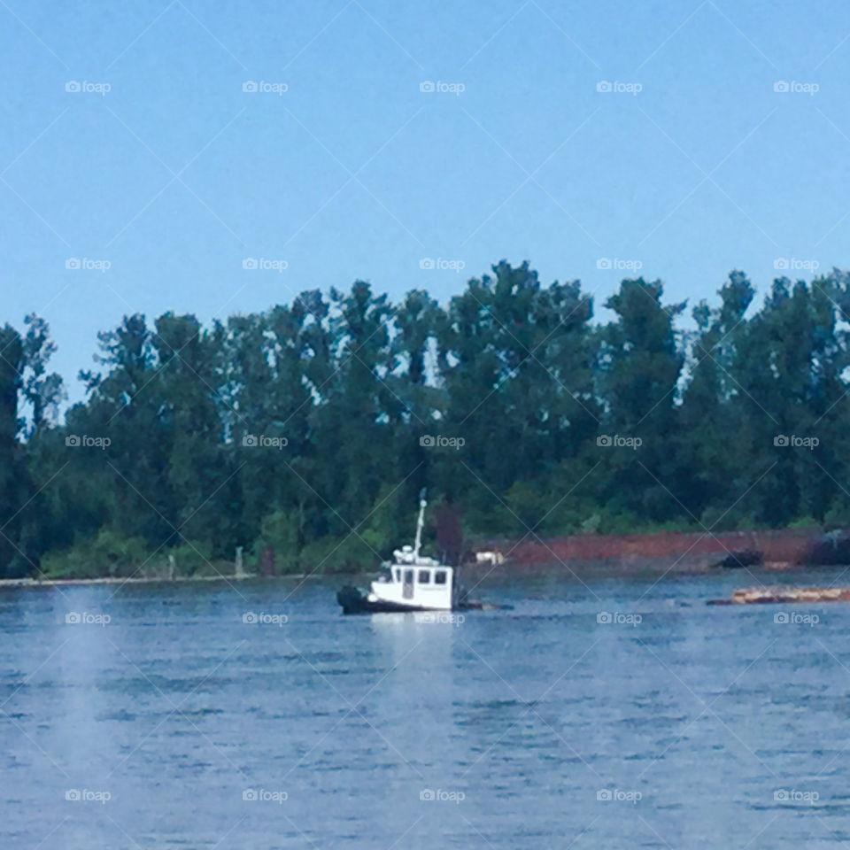 Tugboat Going Along the Fraser River 