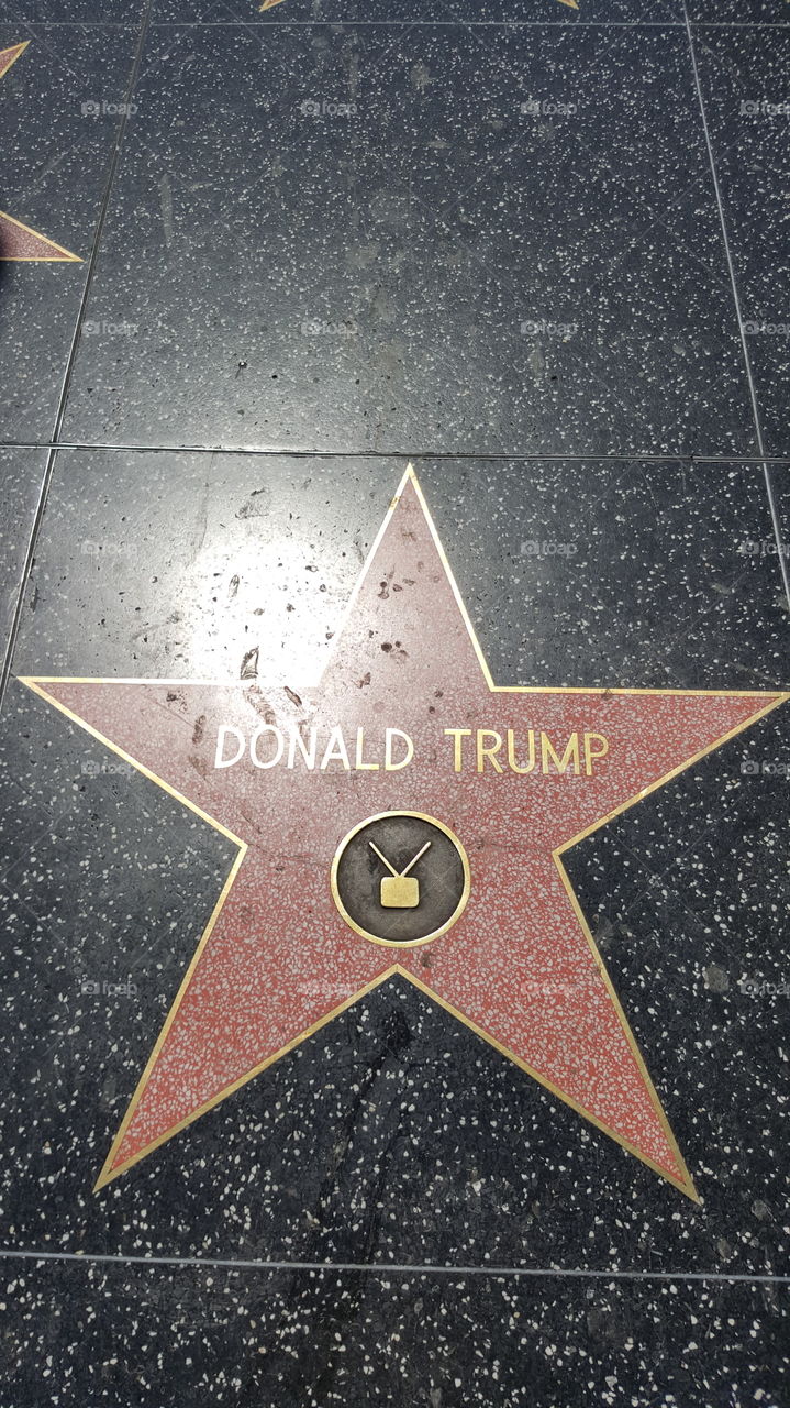 Donald Trump LA cinema star