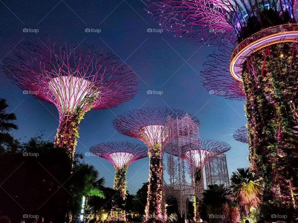 Gardens by the Bay
