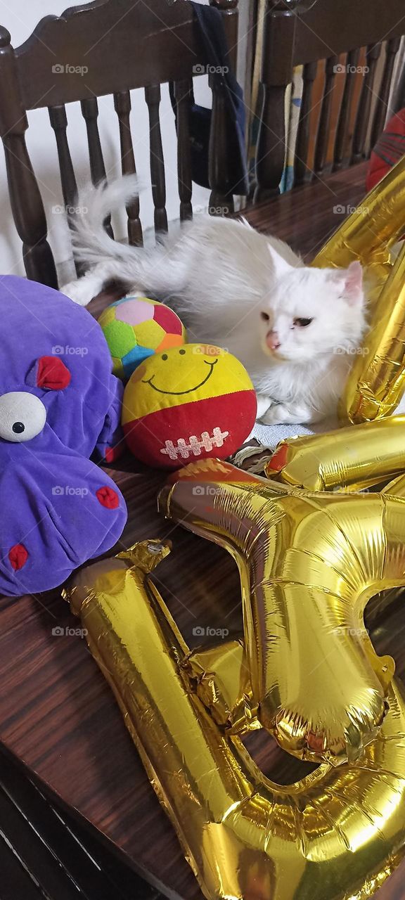 bold colors 💜💛💜💛💜💛beautiful composition feeling sleepy now